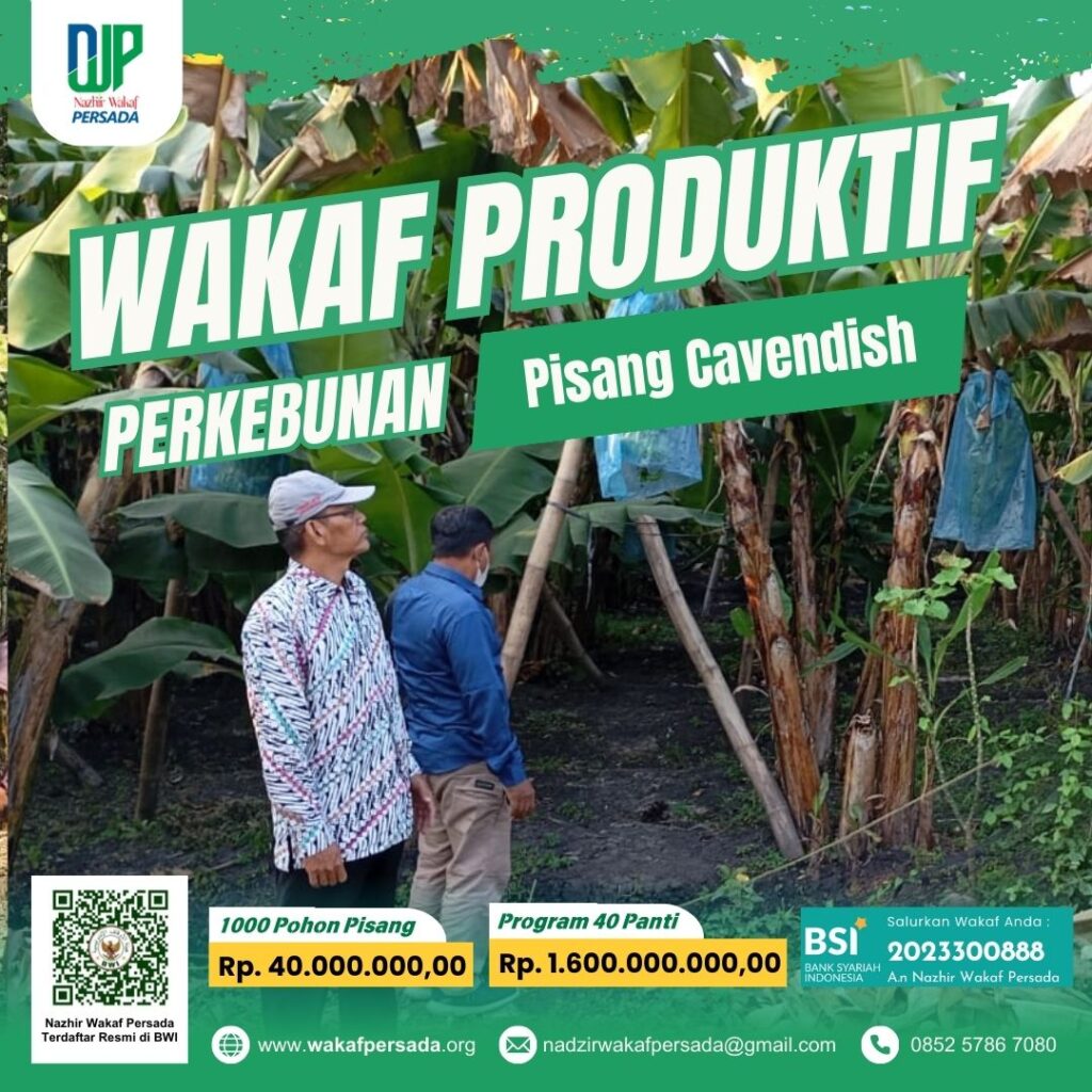 Wakaf Produktif Pisang Cavendish