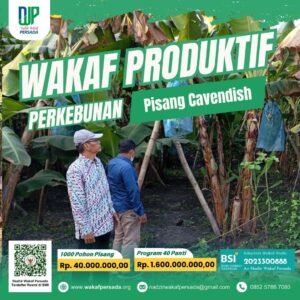 Wakaf Produktif Pisang Cavendish
