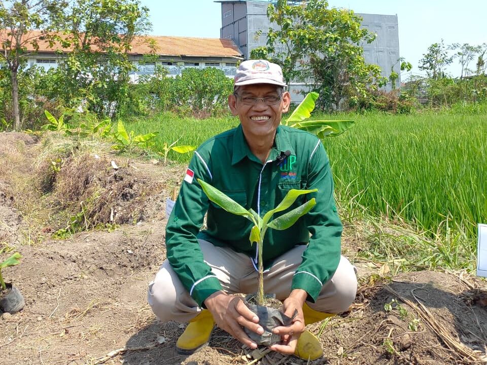PENGERTIAN WAKAF dan MANFAAT WAKAF